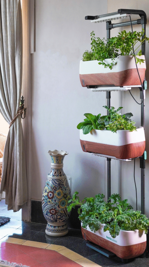 Innovative indoor plant styling ideas for a restorative home design.
