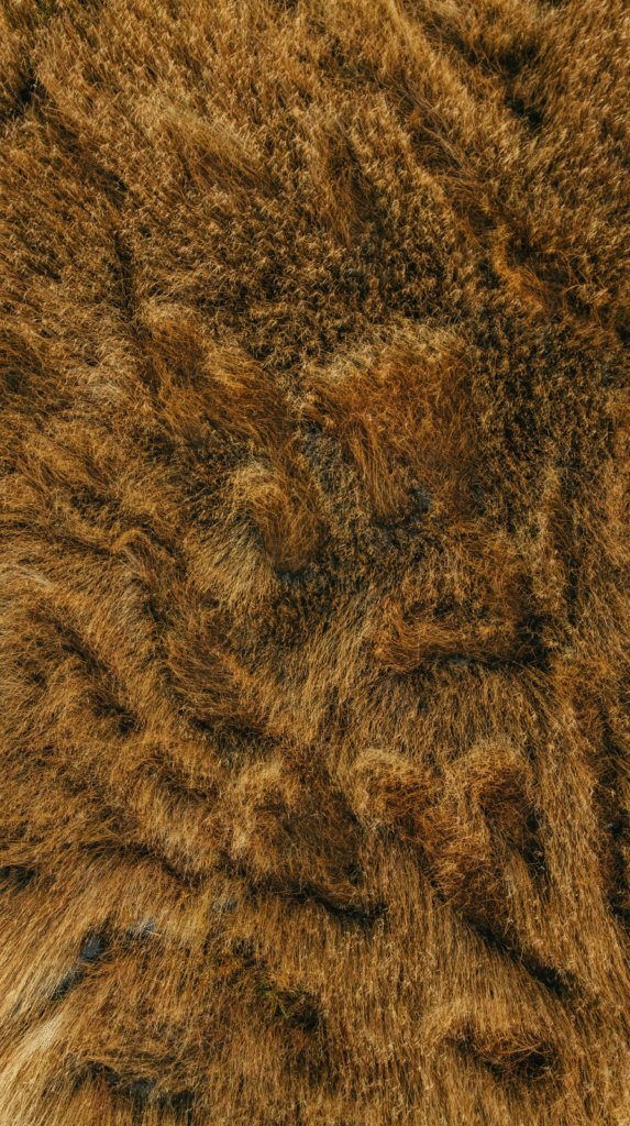 Layered rugs featuring a jute base and a chunky wool top rug.