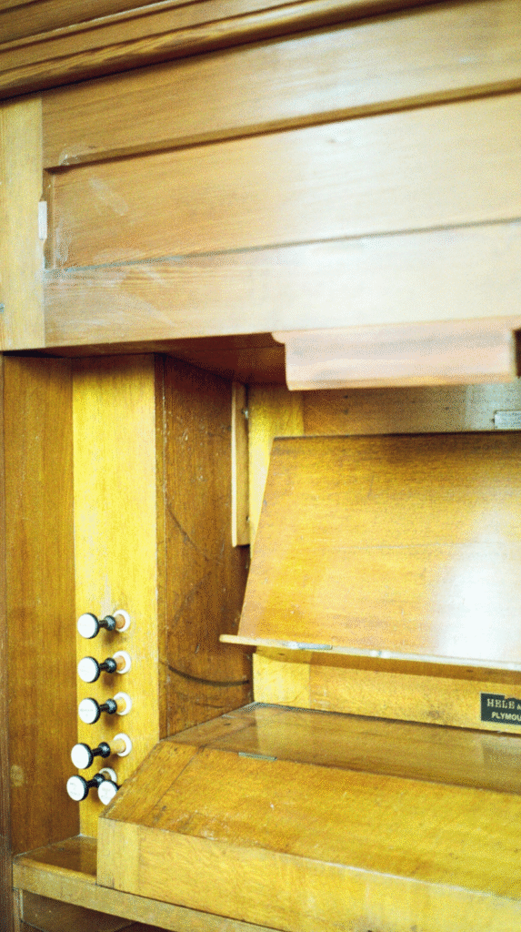 A trailing Marble Queen Pothos, a low-maintenance air-purifying plant for shelves.
