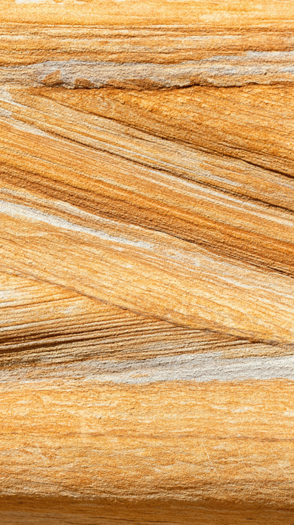 Close up of natural textures and layered materials for interior depth.
